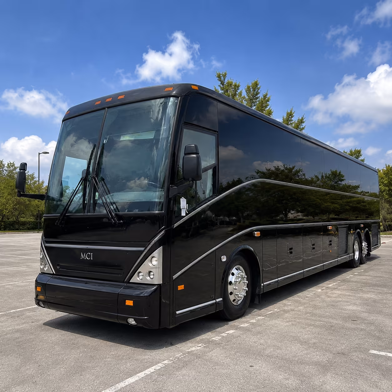 bronx zoo and amnh buses for clifton school groups